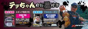 GesoTSRとV12(横長)