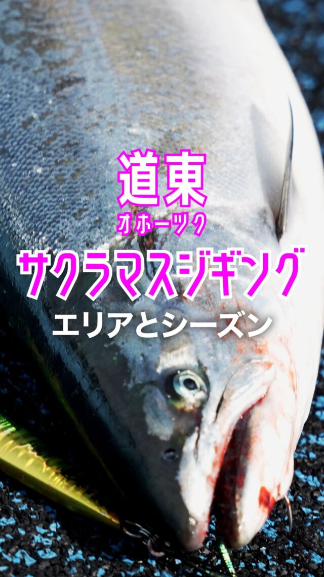 XBRAID | 釣り糸メーカーYGK（株式会社ワイ・ジー・ケー）のブランドサイト