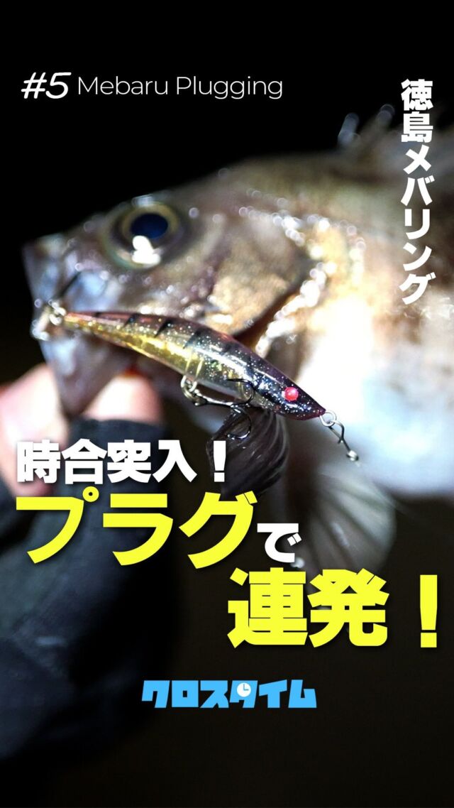 XBRAID | 釣り糸メーカーYGK（株式会社ワイ・ジー・ケー）のブランドサイト