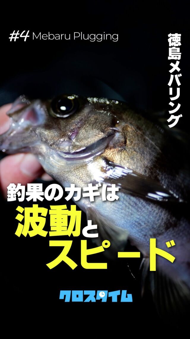 XBRAID | 釣り糸メーカーYGK（株式会社ワイ・ジー・ケー）のブランドサイト