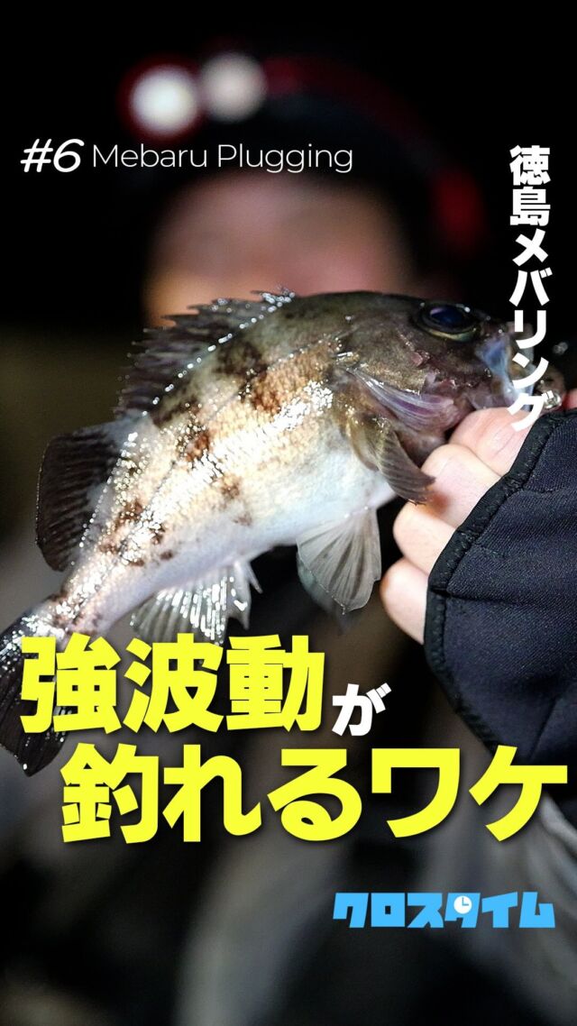 数釣り対応!!】イカメタル完全マニュアル｜連発を呼び込む多彩な